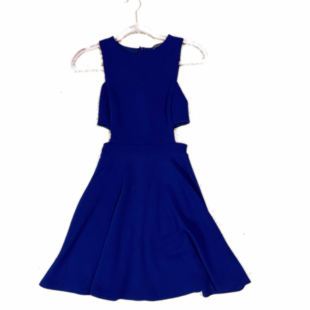 Royal Blue Dress